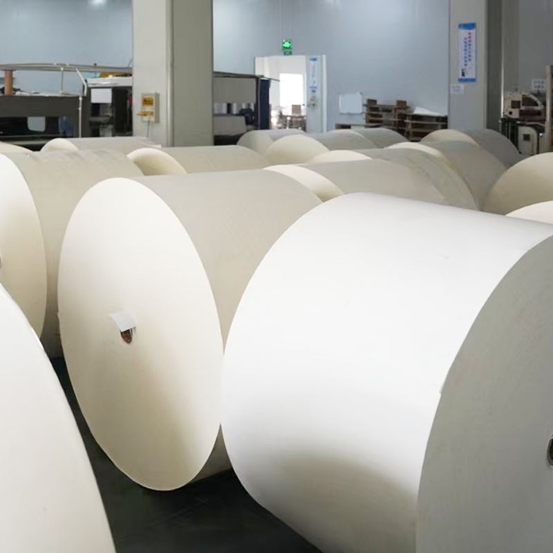 Kompostabelt plastfri belagt kopp bunnpapir