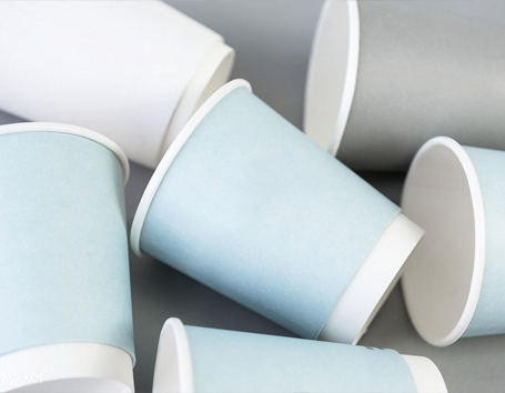 Paper Cup
